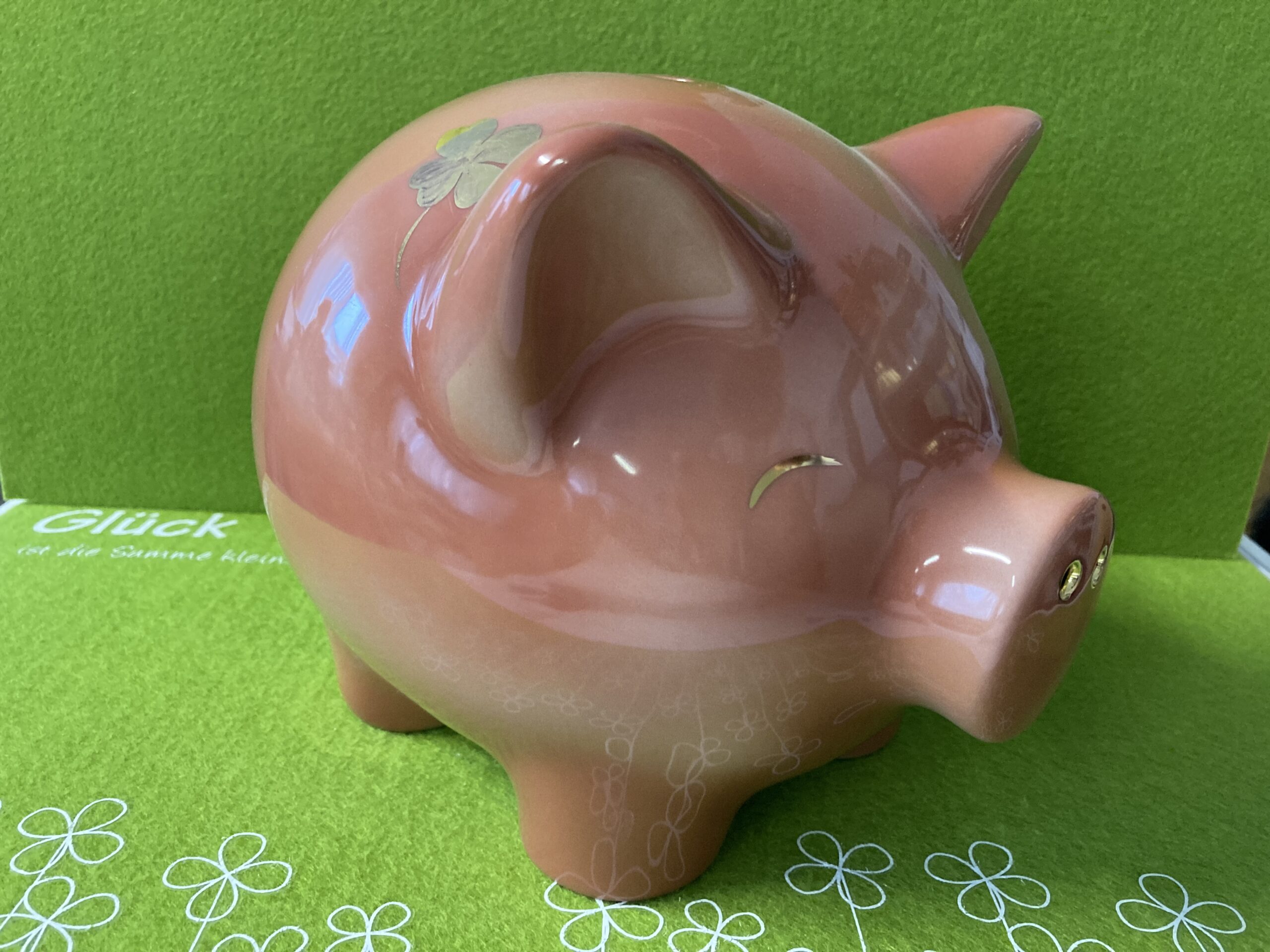 XXL-Sparschwein